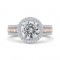 14K Two-Tone Gold Round Diamond Double Halo Engagement Ring (Semi-Mount)