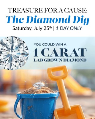Diamond Dig Charity Bucket