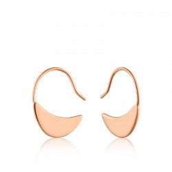 Geometry Hook Earrings